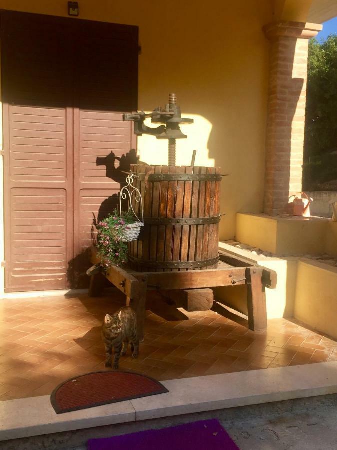 Il Girasole Lejlighed Castel Ritaldi Eksteriør billede